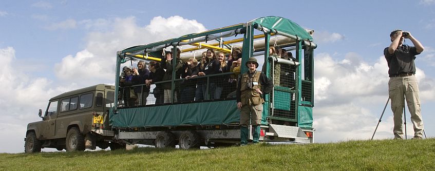 Slimbridge is a paradise for birdwatchers. 